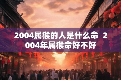 2004属猴的人是什么命  2004年属猴命好不好