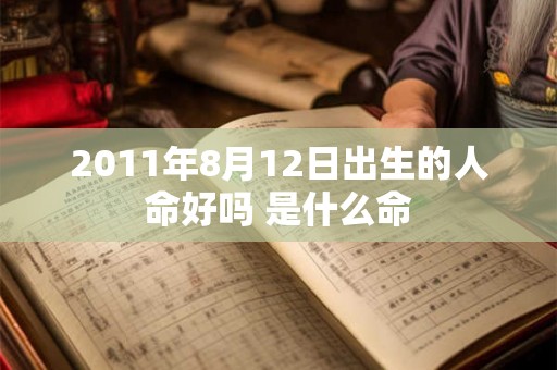 2011年8月12日出生的人命好吗 是什么命