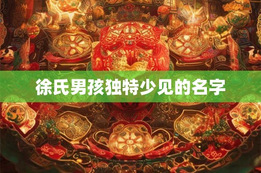 徐氏男孩独特少见的名字