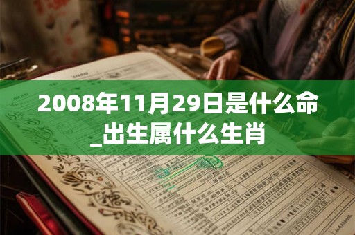2008年11月29日是什么命_出生属什么生肖