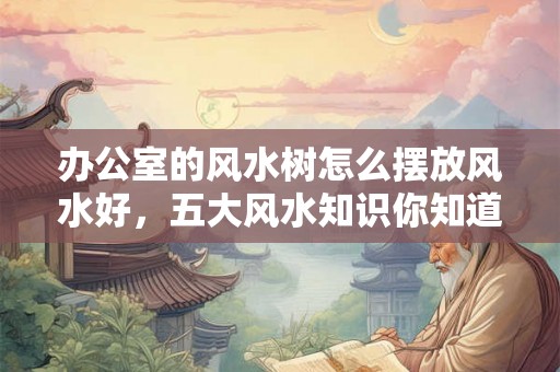 办公室的风水树怎么摆放风水好，五大风水知识你知道几个？