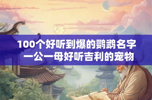 100个好听到爆的鹦鹉名字  一公一母好听吉利的宠物名字