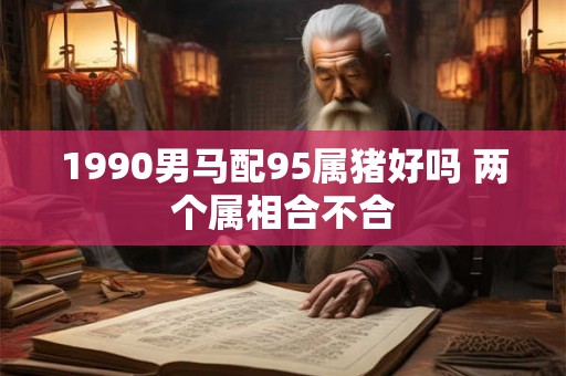 1990男马配95属猪好吗 两个属相合不合