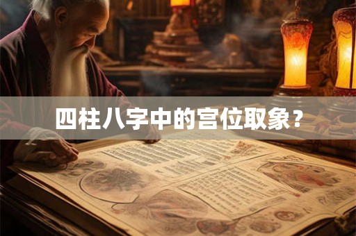 四柱八字中的宫位取象？