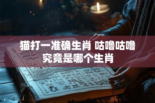 猫打一准确生肖 咕噜咕噜究竟是哪个生肖