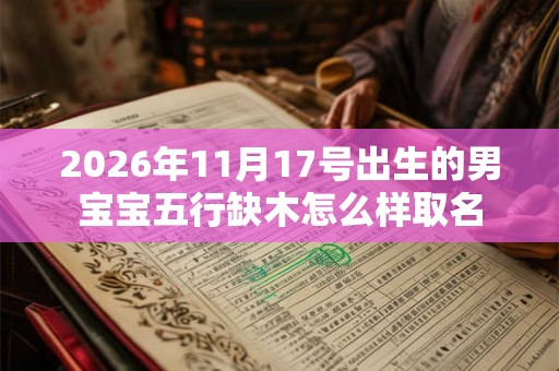 2026年11月17号出生的男宝宝五行缺木怎么样取名