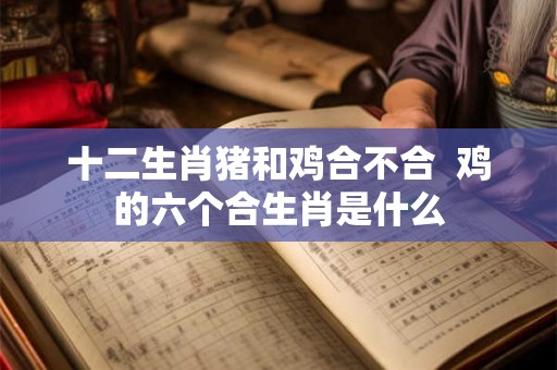 十二生肖猪和鸡合不合  鸡的六个合生肖是什么