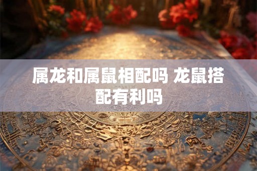 属龙和属鼠相配吗 龙鼠搭配有利吗