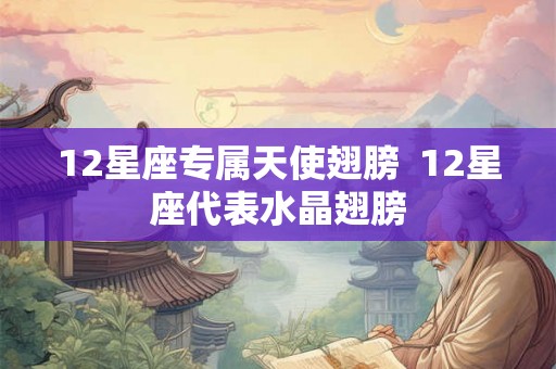 12星座专属天使翅膀  12星座代表水晶翅膀