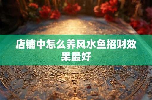 店铺中怎么养风水鱼招财效果最好