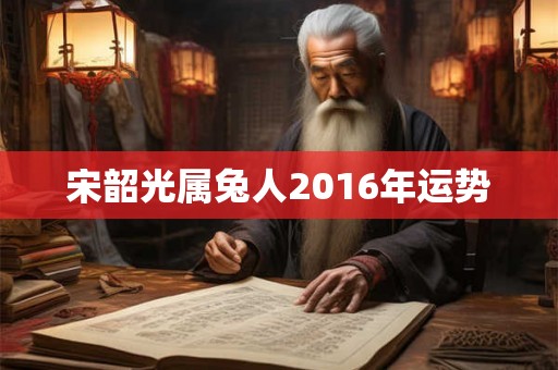 宋韶光属兔人2016年运势 宋韶光属兔人2016年运势