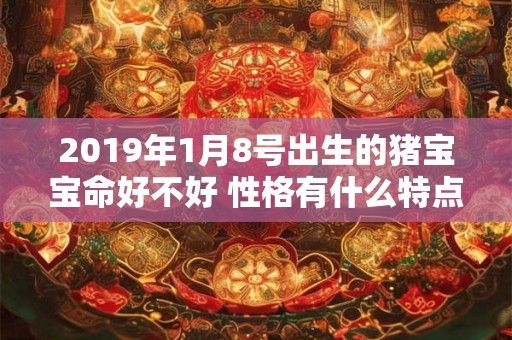 2019年1月8号出生的猪宝宝命好不好 性格有什么特点 2019年1月8号出生的猪宝宝命好不好 性格有什么特点