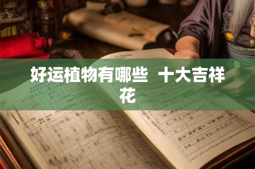 好运植物有哪些  十大吉祥花