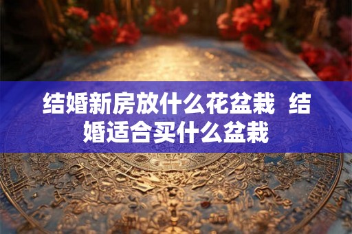 结婚新房放什么花盆栽  结婚适合买什么盆栽