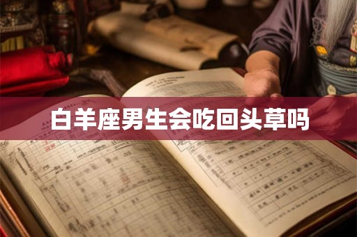 白羊座男生会吃回头草吗