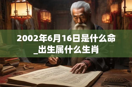 2002年6月16日是什么命_出生属什么生肖 2002年6月16日是什么命_出生属什么生肖
