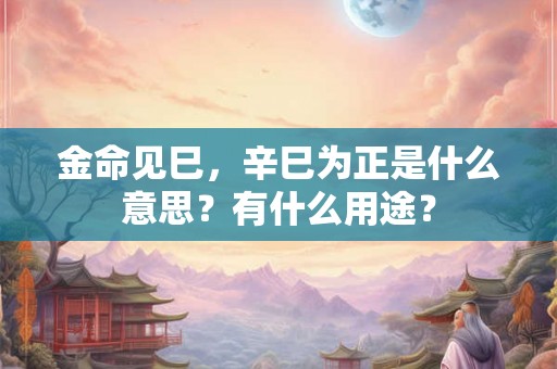 金命见巳，辛巳为正是什么意思？有什么用途？