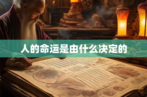 人的命运是由什么决定的