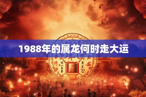 1988年的属龙何时走大运