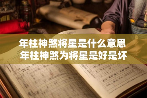 年柱神煞将星是什么意思 年柱神煞为将星是好是坏