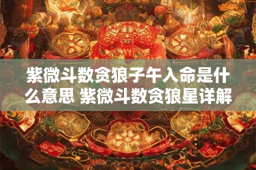紫微斗数贪狼子午入命是什么意思 紫微斗数贪狼星详解 紫微斗数贪狼子午入命是什么意思 紫微斗数贪狼星详解