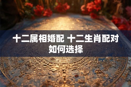 十二属相婚配 十二生肖配对如何选择