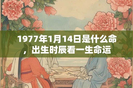 1977年1月14日是什么命，出生时辰看一生命运