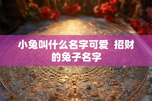 小兔叫什么名字可爱  招财的兔子名字