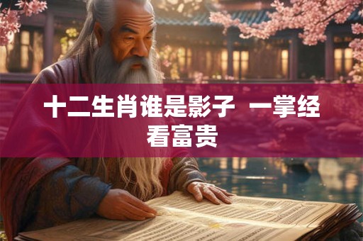 十二生肖谁是影子  一掌经看富贵