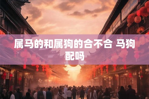 属马的和属狗的合不合 马狗配吗