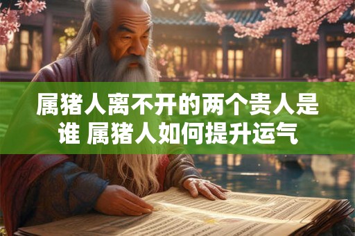 属猪人离不开的两个贵人是谁 属猪人如何提升运气 属猪人离不开的两个贵人是谁 属猪人如何提升运气