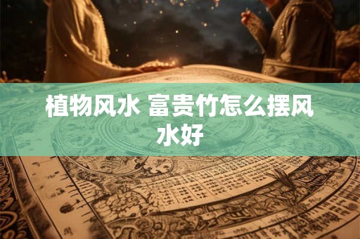 植物风水 富贵竹怎么摆风水好 植物风水 富贵竹怎么摆风水好