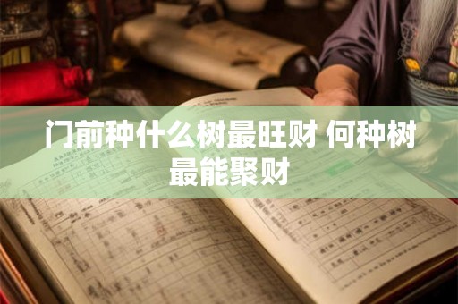 门前种什么树最旺财 何种树最能聚财