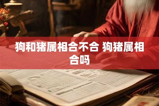 狗和猪属相合不合 狗猪属相合吗