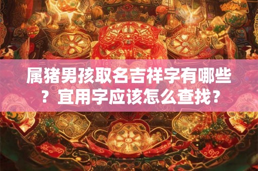 属猪男孩取名吉祥字有哪些？宜用字应该怎么查找？
