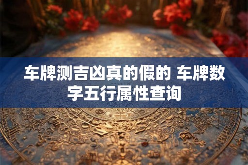 车牌测吉凶真的假的 车牌数字五行属性查询