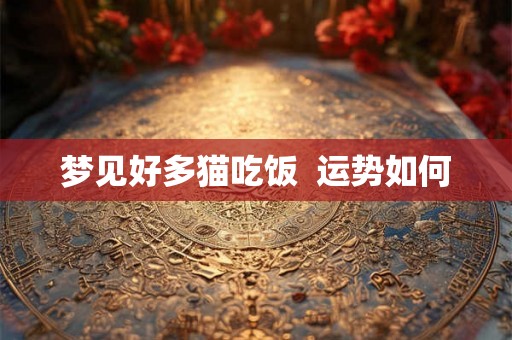 梦见好多猫吃饭  运势如何