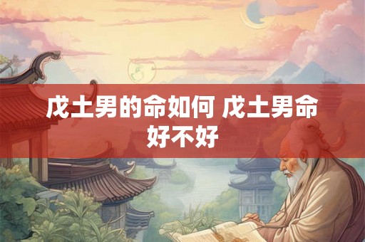戊土男的命如何 戊土男命好不好