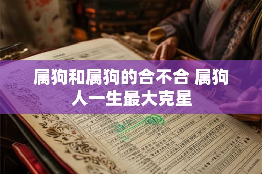 属狗和属狗的合不合 属狗人一生最大克星 属狗和属狗的合不合 属狗人一生最大克星