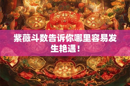 紫薇斗数告诉你哪里容易发生艳遇！