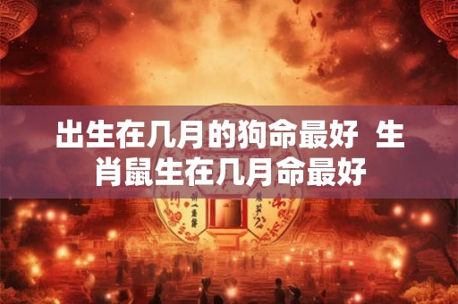 出生在几月的狗命最好  生肖鼠生在几月命最好
