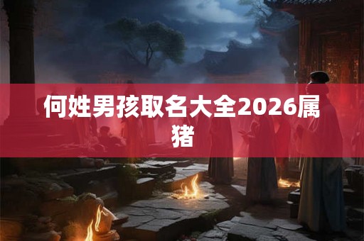 何姓男孩取名大全2026属猪 何姓男孩取名大全2026属猪
