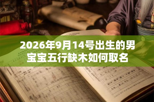 2026年9月14号出生的男宝宝五行缺木如何取名