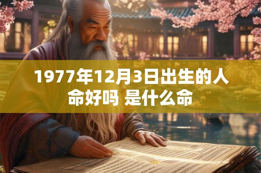1977年12月3日出生的人命好吗 是什么命
