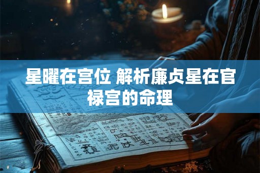 星曜在宫位 解析廉贞星在官禄宫的命理