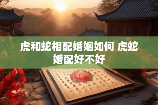 虎和蛇相配婚姻如何 虎蛇婚配好不好 虎和蛇相配婚姻如何 虎蛇婚配好不好