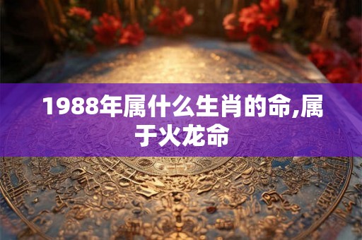 1988年属什么生肖的命,属于火龙命