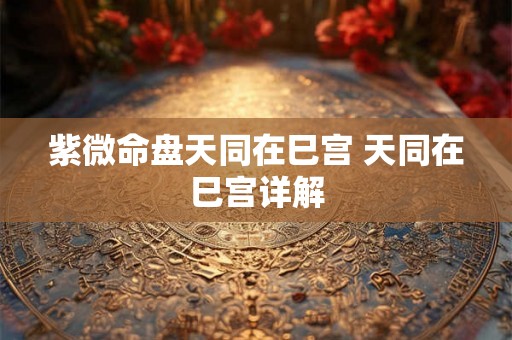 紫微命盘天同在巳宫 天同在巳宫详解