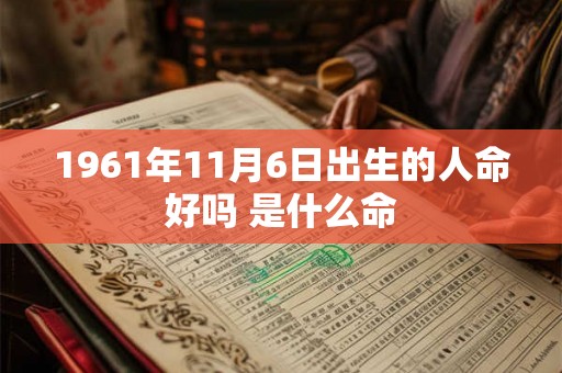 1961年11月6日出生的人命好吗 是什么命