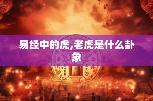 易经中的虎,老虎是什么卦象